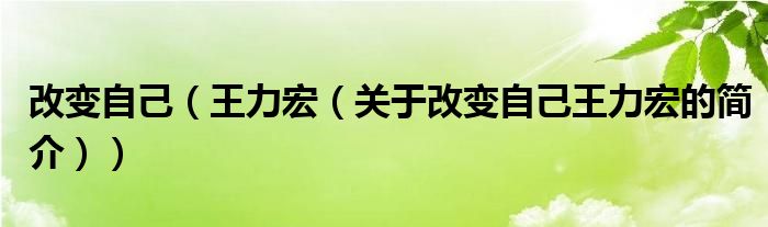 改变自己（王力宏（关于改变自己王力宏的简介））