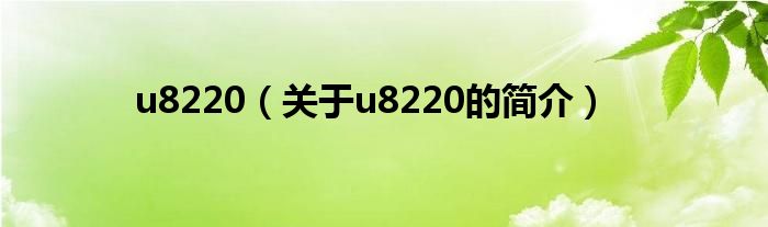 u8220（关于u8220的简介）