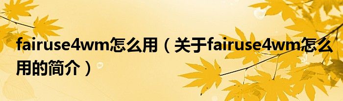 fairuse4wm怎么用（关于fairuse4wm怎么用的简介）