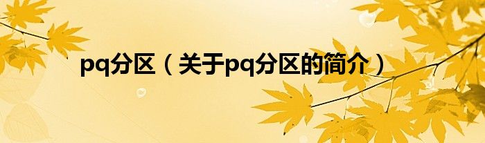 pq分区（关于pq分区的简介）