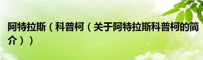 阿特拉斯（科普柯（关于阿特拉斯科普柯的简介））