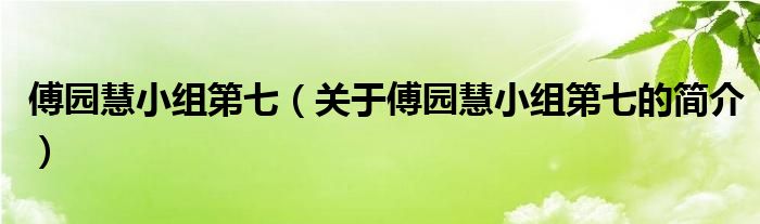 傅园慧小组第七（关于傅园慧小组第七的简介）