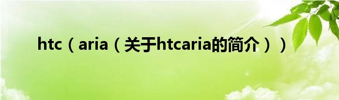 htc（aria（关于htcaria的简介））