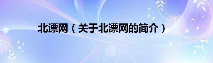 北漂网（关于北漂网的简介）