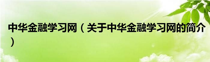 中华金融学习网（关于中华金融学习网的简介）