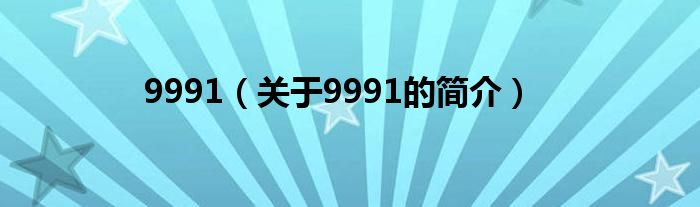 9991（关于9991的简介）