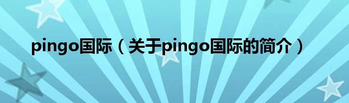 pingo国际（关于pingo国际的简介）