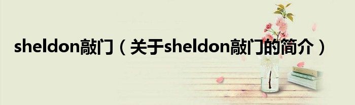 sheldon敲门（关于sheldon敲门的简介）