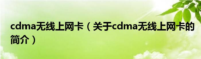 cdma无线上网卡（关于cdma无线上网卡的简介）