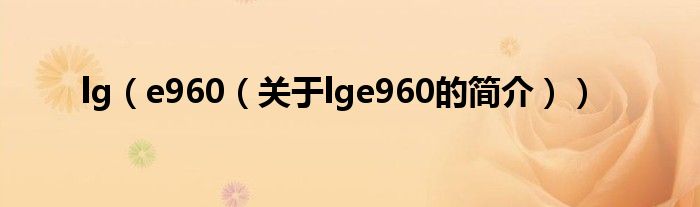 lg（e960（关于lge960的简介））