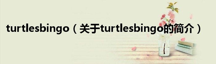 turtlesbingo（关于turtlesbingo的简介）