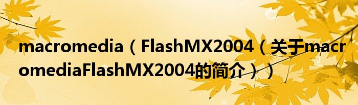 macromedia（FlashMX2004（关于macromediaFlashMX2004的简介））