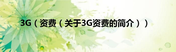 3G（资费（关于3G资费的简介））