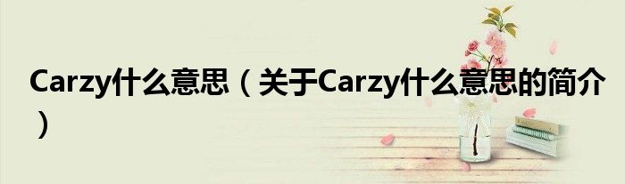 Carzy什么意思（关于Carzy什么意思的简介）