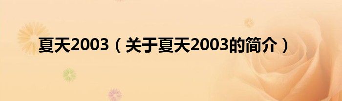 夏天2003（关于夏天2003的简介）