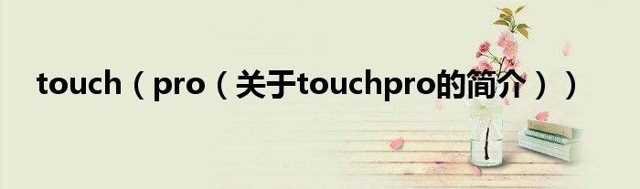 touch（pro（关于touchpro的简介））