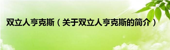 双立人亨克斯（关于双立人亨克斯的简介）