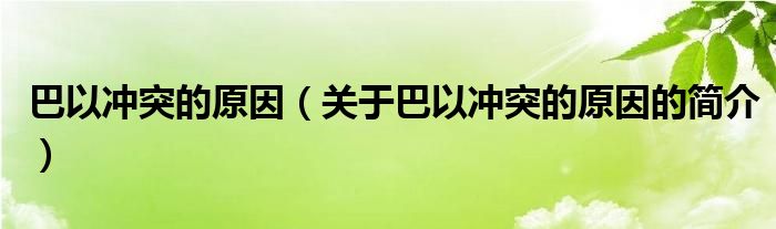 巴以冲突的原因（关于巴以冲突的原因的简介）