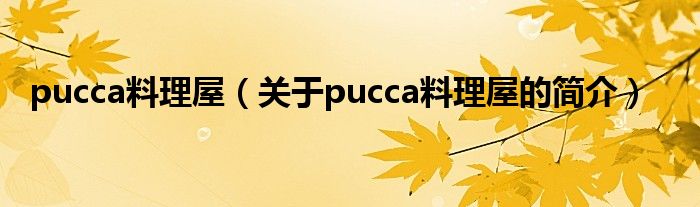 pucca料理屋（关于pucca料理屋的简介）