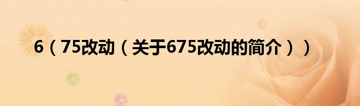 6（75改动（关于675改动的简介））