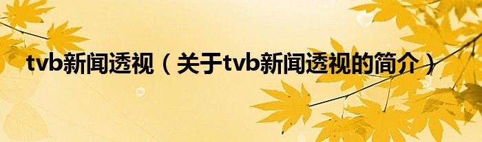 tvb新闻透视（关于tvb新闻透视的简介）