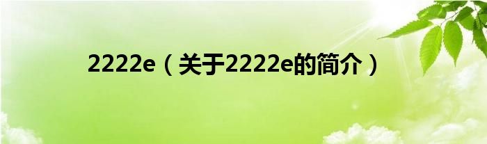 2222e（关于2222e的简介）