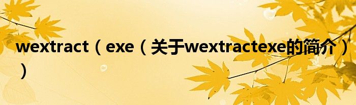 wextract（exe（关于wextractexe的简介））