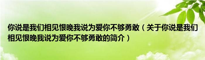 你说是我们相见恨晚我说为爱你不够勇敢（关于你说是我们相见恨晚我说为爱你不够勇敢的简介）