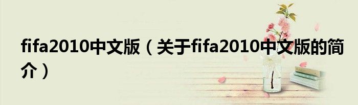 fifa2010中文版（关于fifa2010中文版的简介）