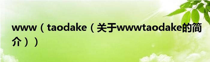 www（taodake（关于wwwtaodake的简介））
