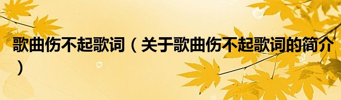 歌曲伤不起歌词（关于歌曲伤不起歌词的简介）