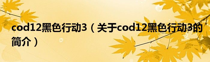 cod12黑色行动3（关于cod12黑色行动3的简介）