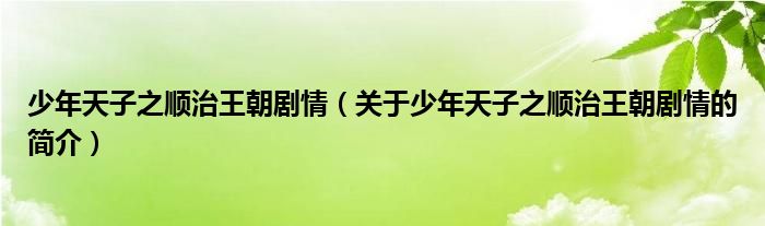 少年天子之顺治王朝剧情（关于少年天子之顺治王朝剧情的简介）