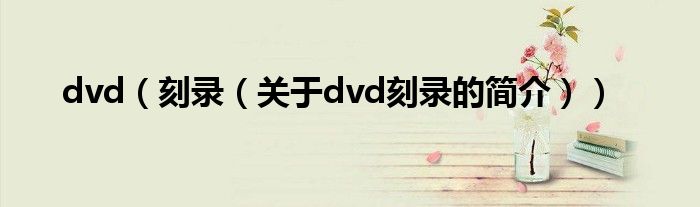 dvd（刻录（关于dvd刻录的简介））