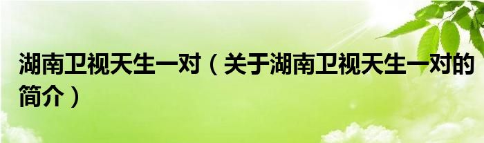 湖南卫视天生一对（关于湖南卫视天生一对的简介）