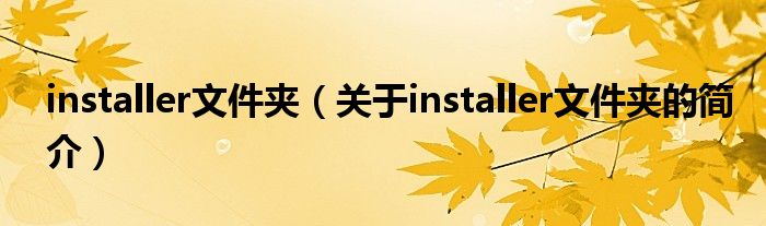 installer文件夹（关于installer文件夹的简介）