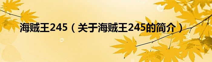 海贼王245（关于海贼王245的简介）