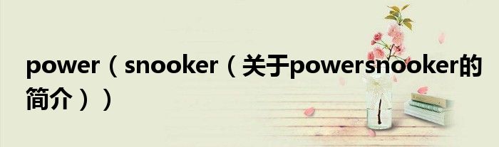 power（snooker（关于powersnooker的简介））