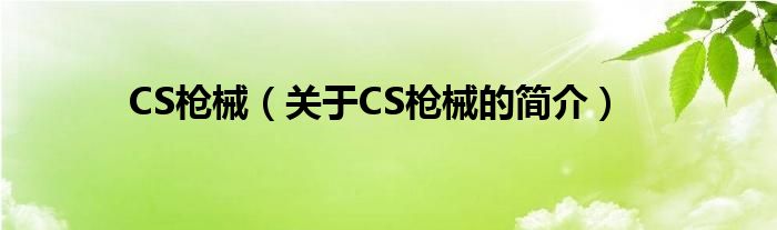 CS枪械（关于CS枪械的简介）