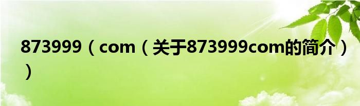 873999（com（关于873999com的简介））