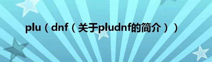 plu（dnf（关于pludnf的简介））