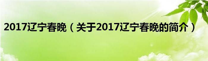 2017辽宁春晚（关于2017辽宁春晚的简介）