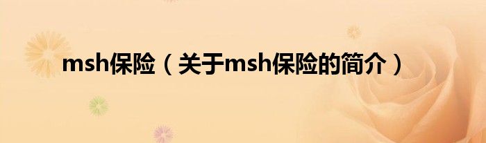 msh保险（关于msh保险的简介）