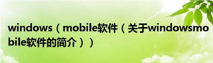 windows（mobile软件（关于windowsmobile软件的简介））