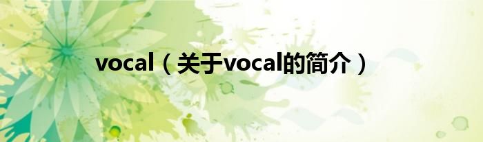 vocal（关于vocal的简介）