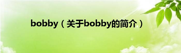 bobby（关于bobby的简介）