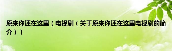 原来你还在这里（电视剧（关于原来你还在这里电视剧的简介））