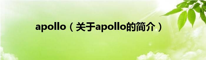 apollo（关于apollo的简介）