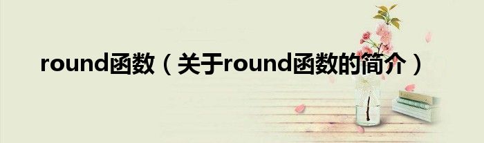 round函数（关于round函数的简介）