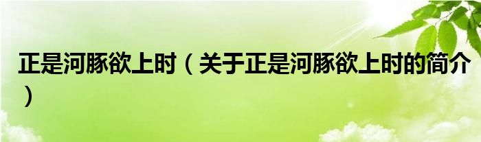 正是河豚欲上时（关于正是河豚欲上时的简介）